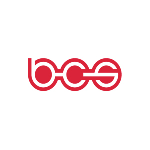 BCS Automotive Interface Solutions #2 logo